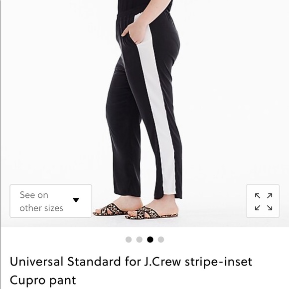 Universal Standard Pants - J Crew x Universal Standard Cupro Pants
